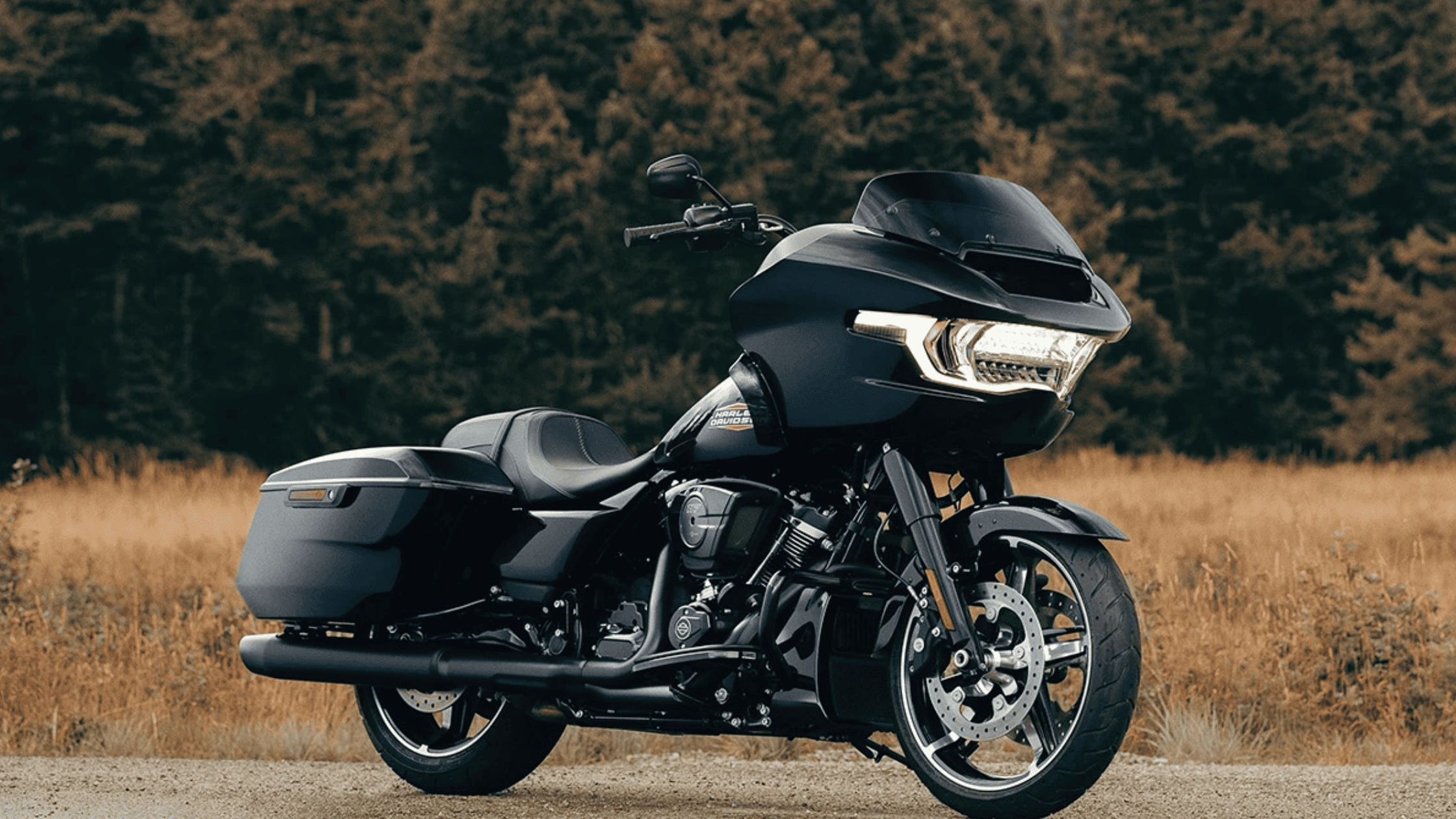 2025 Harley-Davidson Road Glide® motorcycle in black, parked on a scenic forest road with LED headlights on.