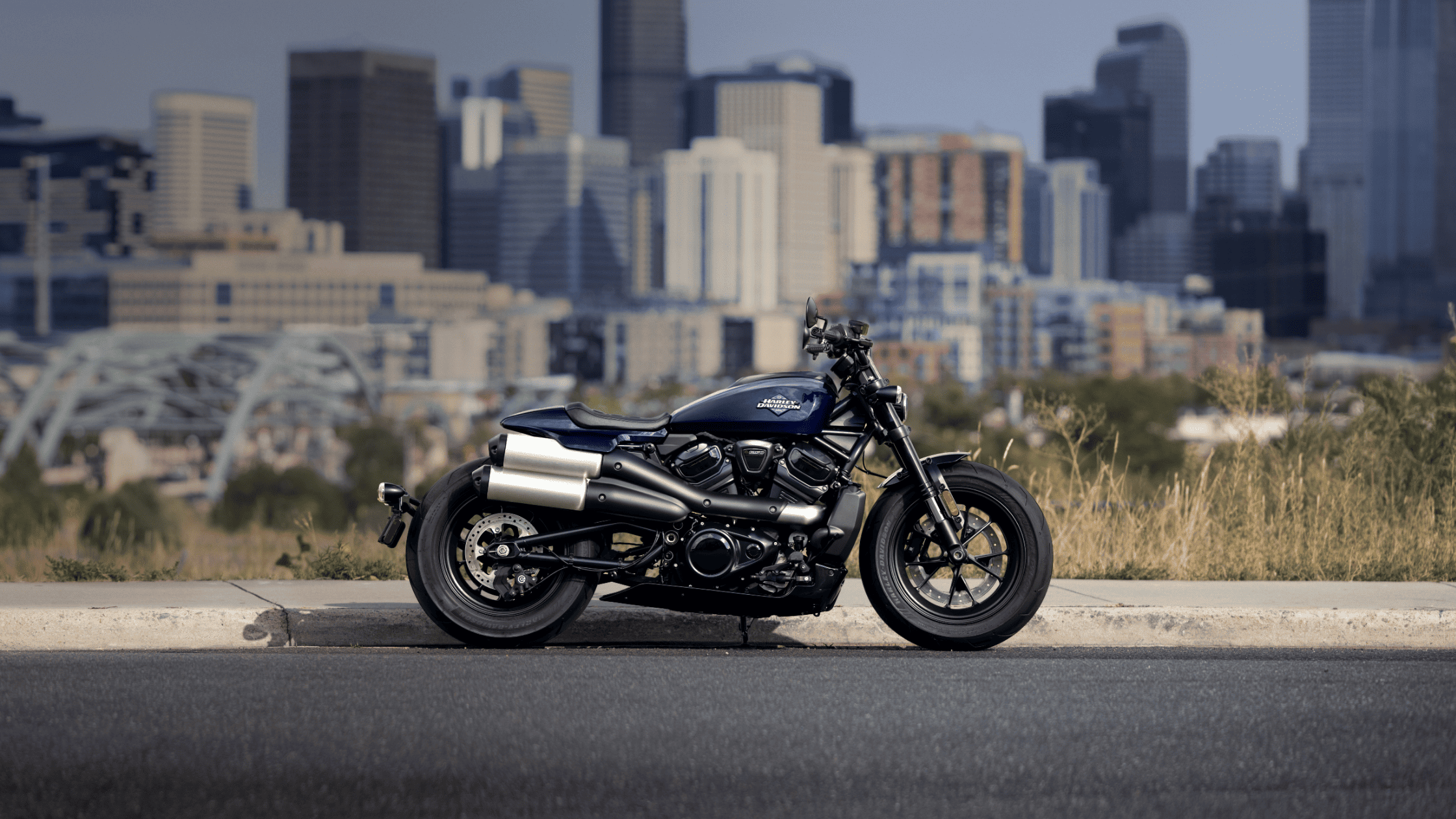 Side profile of a blue 2025 Harley-Davidson Sportster S motorcycle parked with a city skyline backdrop.