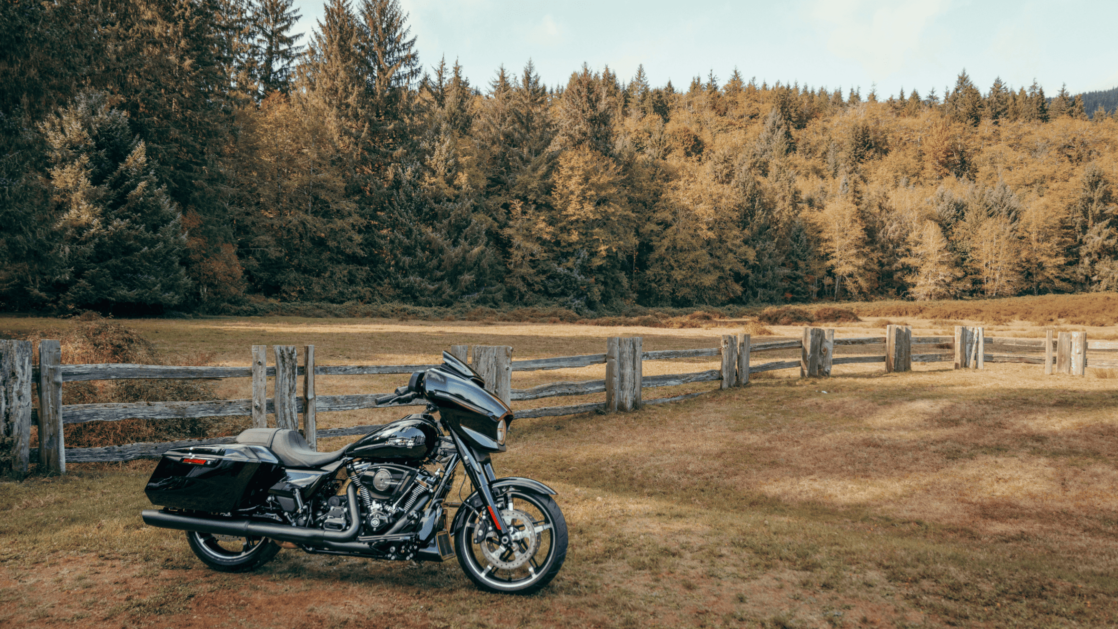 2025 Harley-Davidson® Street Glide® parked in open field with batwing fairing and blacked-out styling.