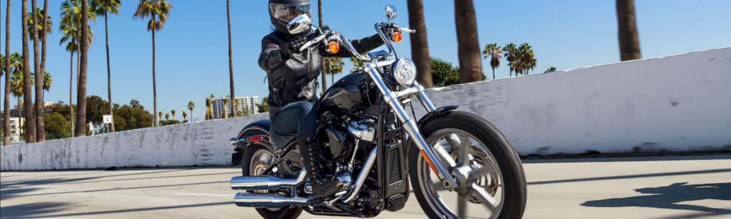 2023 Harley-Davidson® Softail® Standard for sale in Teddy Morse's Renegade Harley-Davidson®, Springfield, Missouri
